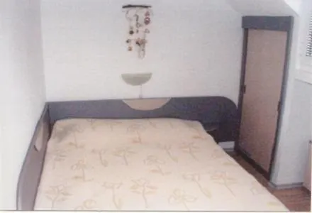 Magnolia Guest 포마리